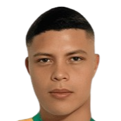 https://img.laipifa.com/img/football/player/8307fea93e3800f40ad94ea9834fa234.png