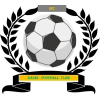 https://img.laipifa.com/img/football/team/6dc6d59af2f0962597b412473a6708ee.png