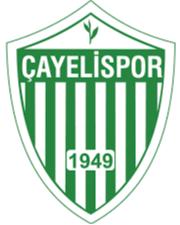 https://img.laipifa.com/img/football/team/98ef16297a173b12921045619237aea5.png