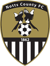 https://img.laipifa.com/img/football/team/9e230c89a846b9cadf91884918fa7611.png