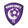 https://img.laipifa.com/img/football/team/c5a548d374c3bb29f1190bf670442c90.png