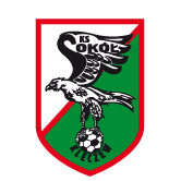 https://img.laipifa.com/img/football/team/e6a8908dd206e2ea02d9803c82c60bba.png